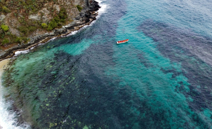 Frente a la costa de Venezuela, el invasor ha dañado los corales nativos, lo que ha provocado una drástica disminución de las poblaciones de peces.