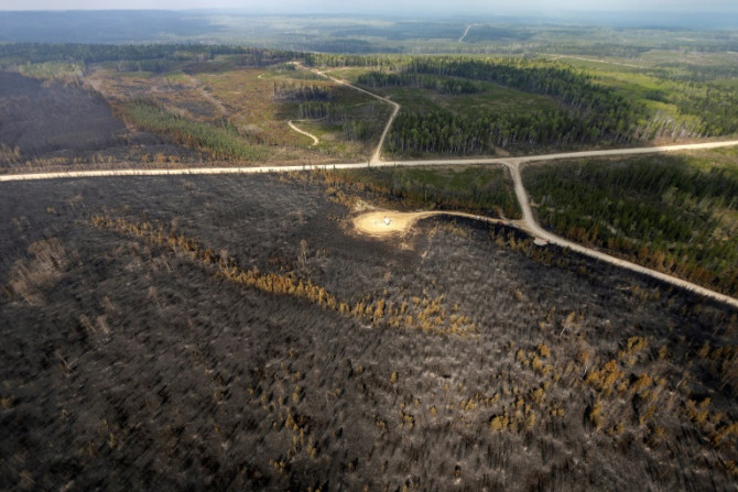 Un paisaje quemado causado por incendios forestales en Alberta, Canadá