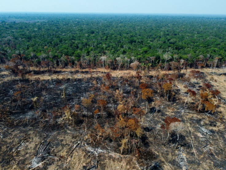 El presidente de Brasil, Luiz Inacio Lula da Silva, prometió hacer frente a la deforestación ilegal en la Amazonía una máxima prioridad.