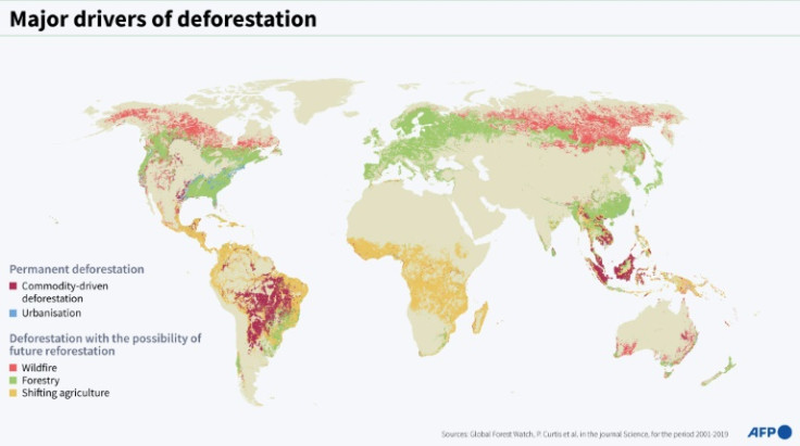 Principales impulsores de la deforestación