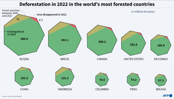 Gráfico que muestra el área forestal y el área forestal perdida de 2000 a 2021 y en 2022 en los diez países con mayor superficie forestal, según Global Forest Watch