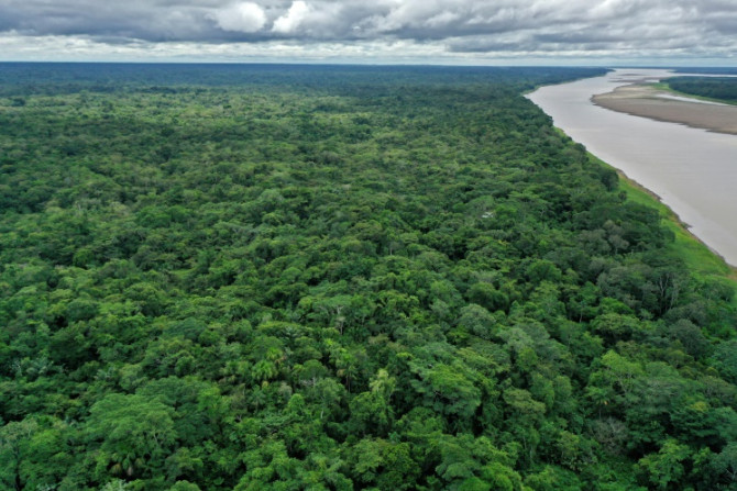 El río Amazonas, parte del cual se puede ver aquí en Colombia, es el río más grande del mundo por volumen, pero ¿es el más largo?
