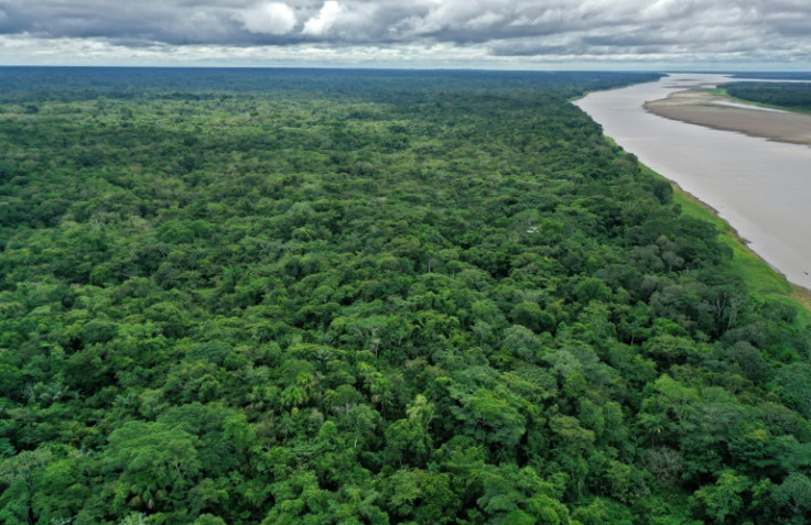 El río Amazonas, parte del cual se puede ver aquí en Colombia, es el río más grande del mundo por volumen, pero ¿es el más largo?