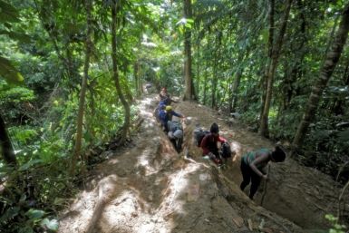 La densa zona selvática entre Panamá y Colombia, conocida como el Tapón del Darién, es una ruta traicionera para los migrantes de América del Sur que se dirigen al norte hacia los Estados Unidos.