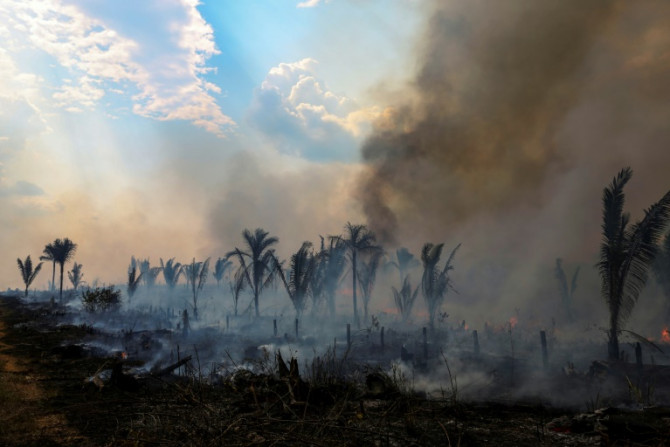 La deforestación en la Amazonía brasileña disminuyó un 66 por ciento en julio de 2023 en comparación con el mismo período del año pasado, alcanzando la cifra más baja para este mes en cinco años, según datos publicados por el gobierno de Brasil.