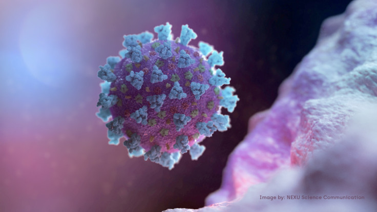Una imagen de computadora creada por Nexu Science Communication con Trinity College muestra un modelo estructuralmente representativo de un betacoronavirus, el tipo de virus relacionado con COVID-19