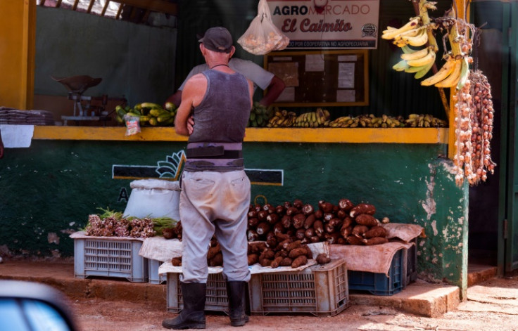 Según cifras oficiales, la producción agrícola en Cuba cayó 35 por ciento entre 2019 y 2023