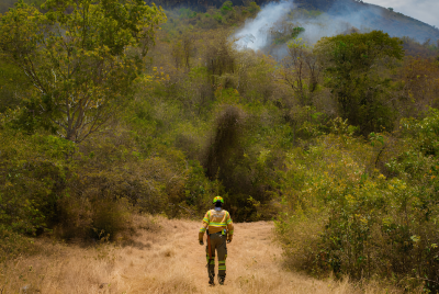 La magnitud de la emergencia