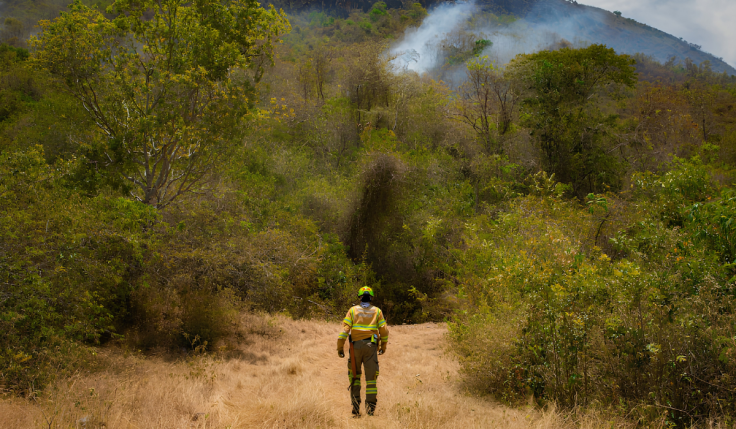 La magnitud de la emergencia