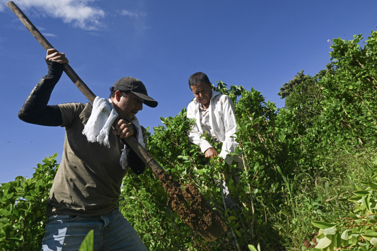 Colombia crea 578.000 empleos en un año,